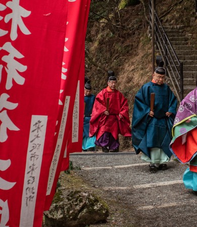 Giappone, ritorno alle foreste sacre 