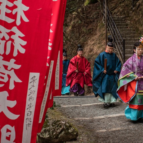 Giappone, ritorno alle foreste sacre