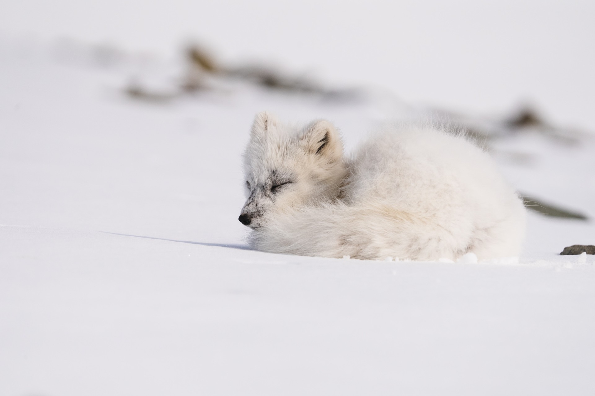 Dove finisce la corrente