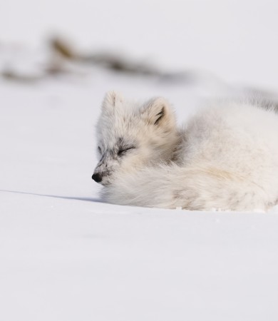 Dove finisce la corrente 