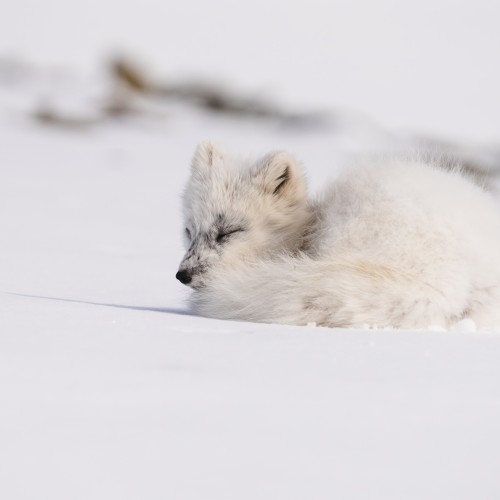 Dove finisce la corrente