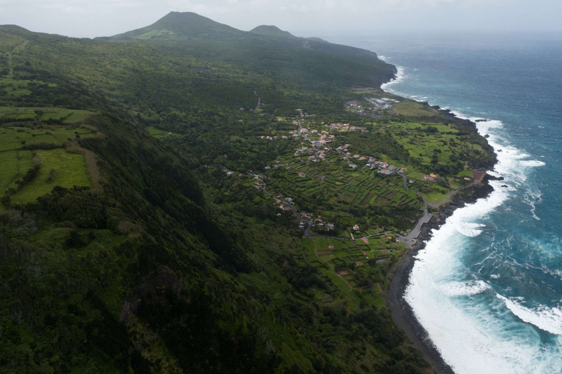 The last whale hunters
