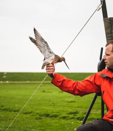 Le grandi migrazioni 